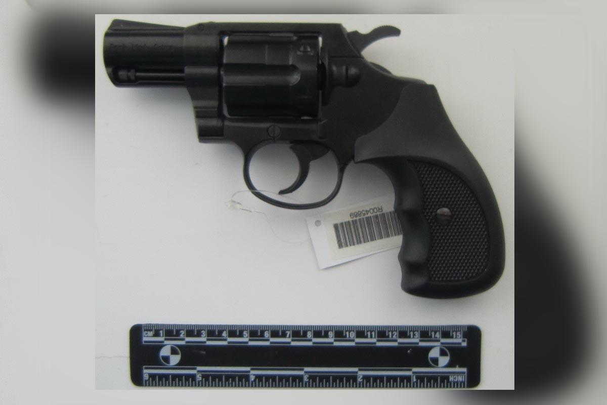 Солтүстікқазақстандықтар полицияға 23 бірлік қару тапсырды