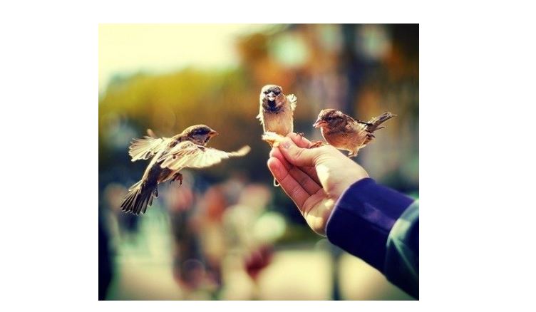 Султыговтар әулетінің салты