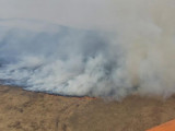 ШҚО-да 40 гектарға жайылған өрт ауыздықталды