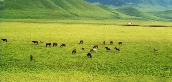 Ақ мол болсын десек...