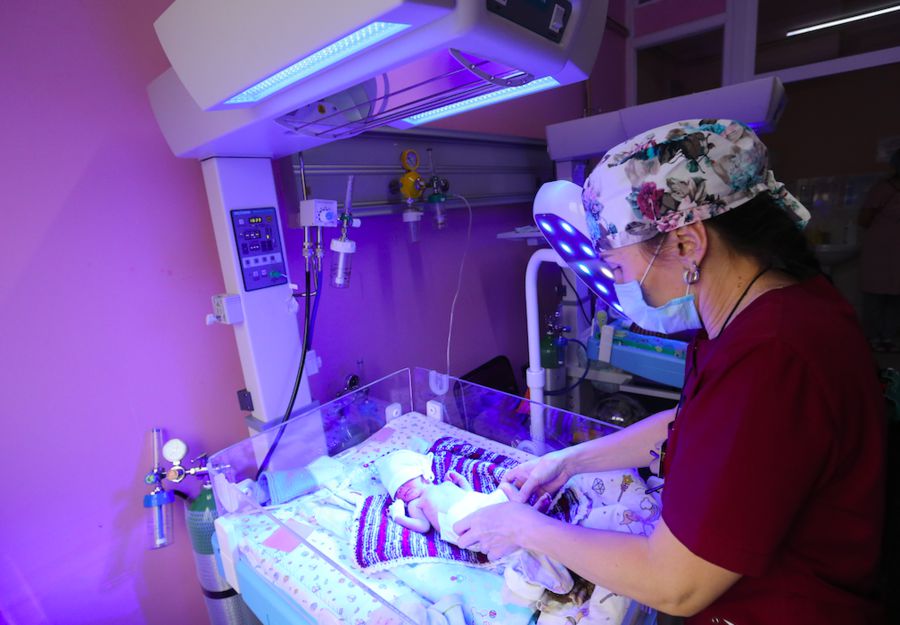 Шала туған шақалақтарға шарапаты тиді