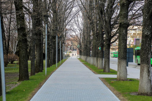 Алматы көшелеріне көпжылдық гүлдер егіледі