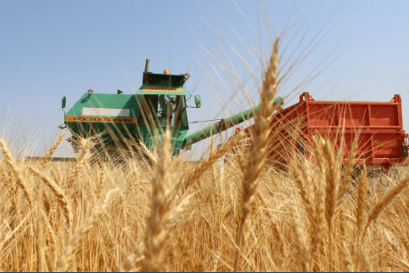 Химиялық қауіпті препараттарды қолданудың шегі анықталған ба?