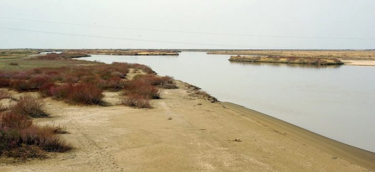 Суды үнемдеу ел үмітін ақтай ма?