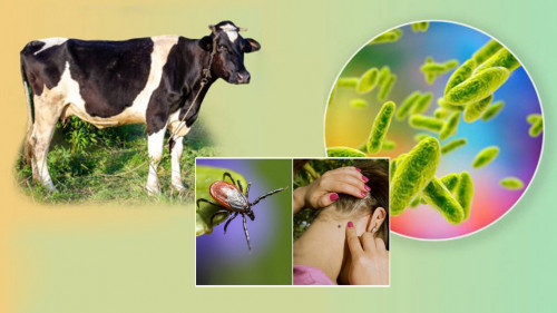 Қоршаған ортада қауіп көп