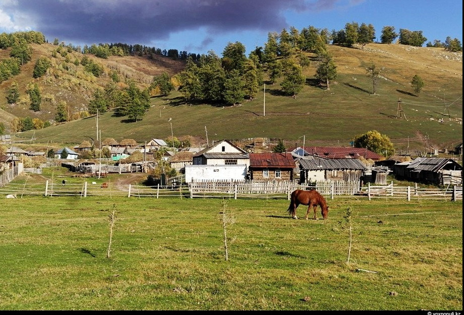 Ауылдық жерлерде өмір сүру деңгейі арттырылуы тиіс