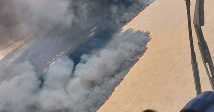 Атырауда Каспий жағалауындағы қамыс өртеніп жатыр