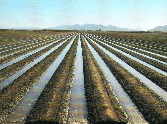 Суармалы жер суға мұқтаж