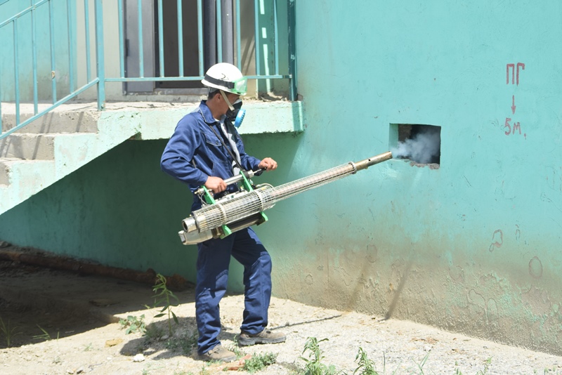 Атырауда масаны улауға 126 млн теңге бөлінді