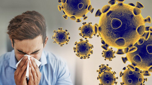 Салауатты өмір салты ағзаның инфекцияға төзімділігін арттырады – Эпидемиолог