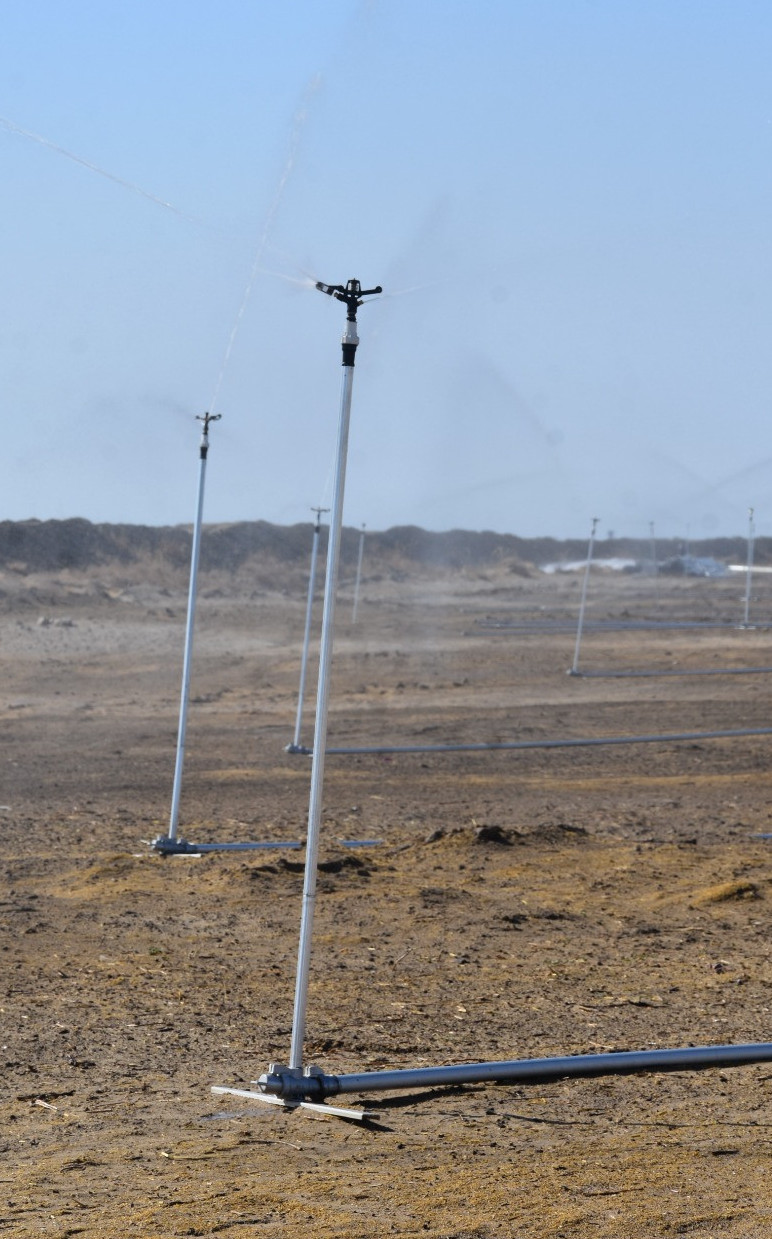 Қазалыда жаңбырлатып суару әдісімен жүгері егілуде