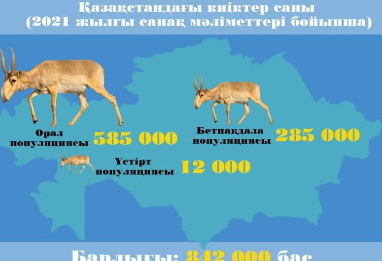 Киік саны 800 мыңнан асты