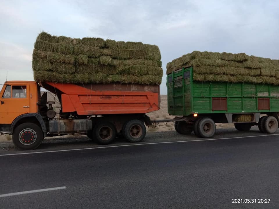 Аралдағы шаруашылықтарға жем-шөп жеткізілуде
