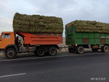 Аралдағы шаруашылықтарға жем-шөп жеткізілуде