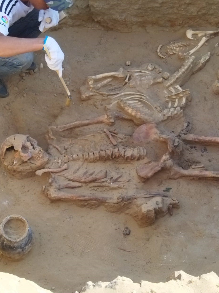 Сармат жауынгерлерінің сүйегі