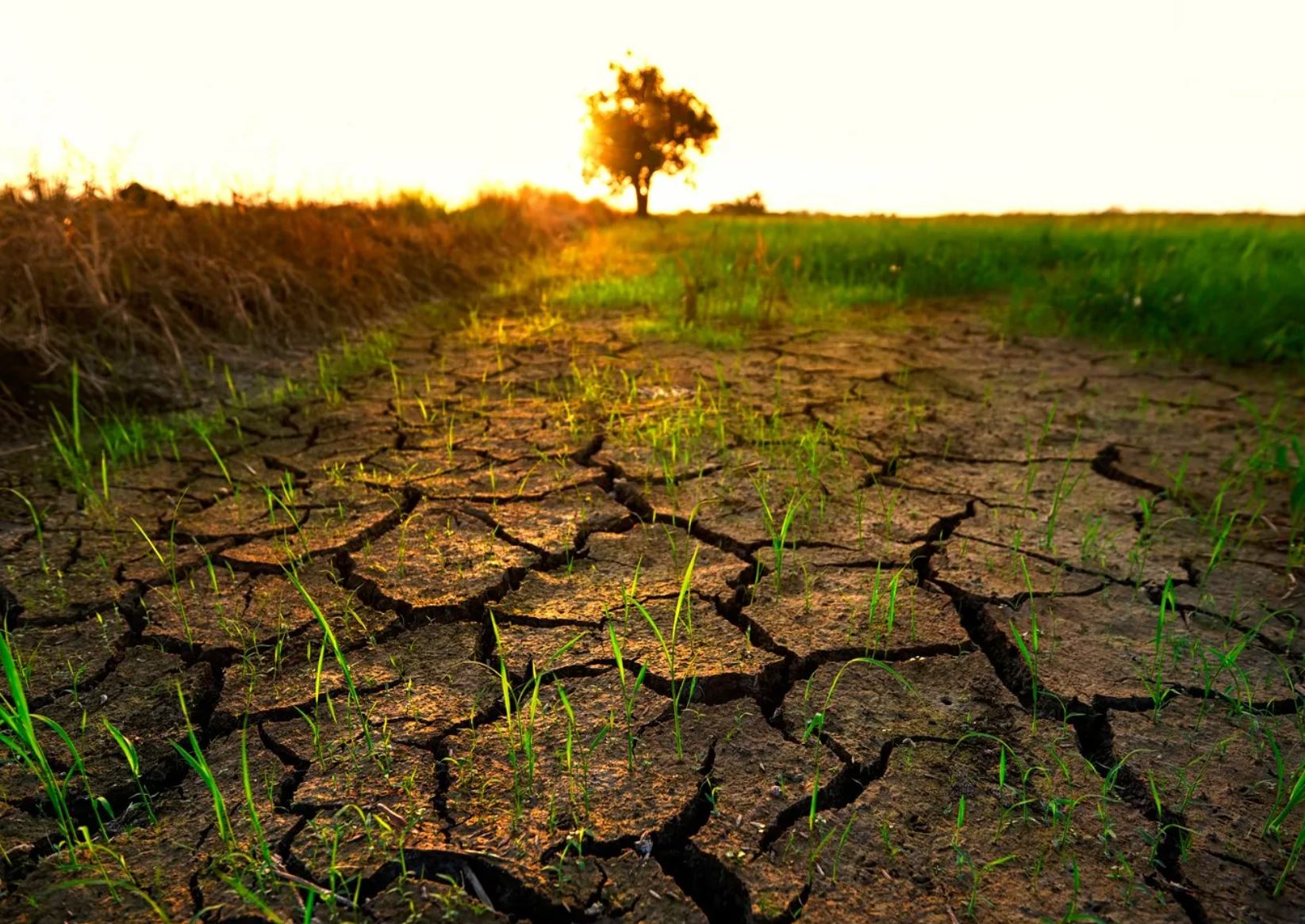 Қуаңшылық қыспағында қалмайық