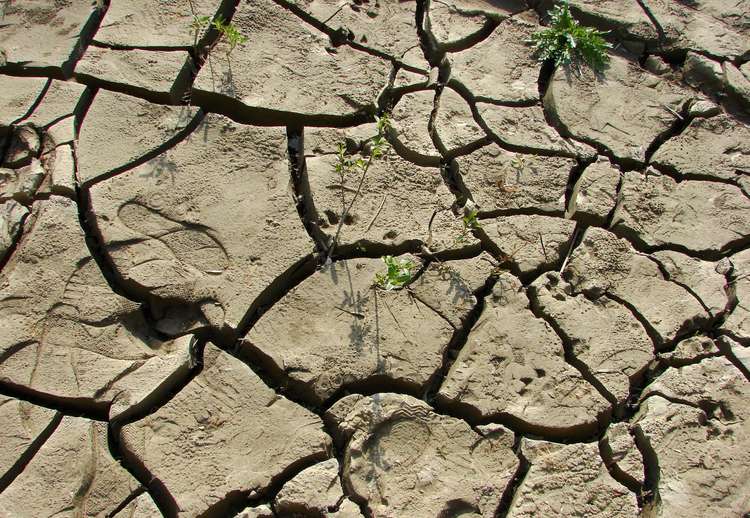 Қуаңшылық әлемді алаңдатуда