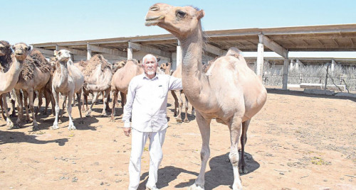 Шаруаға шынайы көмек