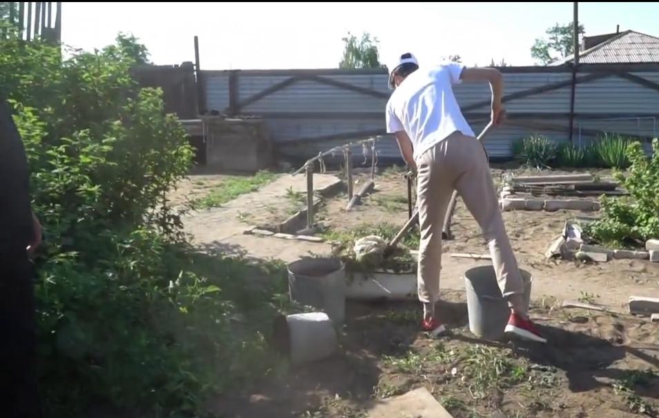 Бесқарағай жастары ардагерлерге көмектесті