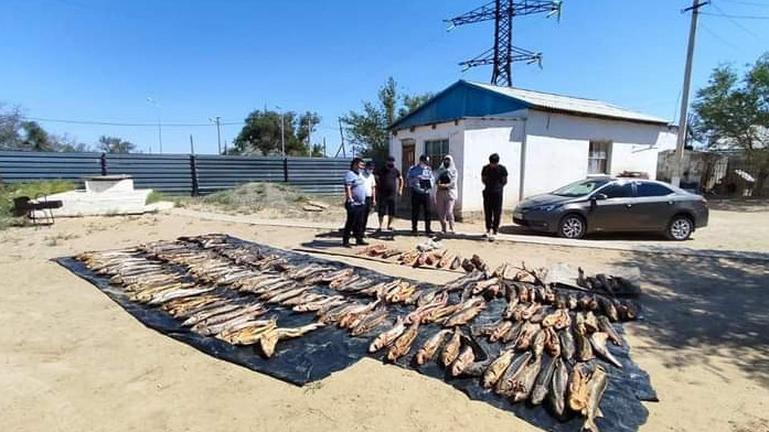 Атырау облысының тұрғыны 576 келі бекіремен ұсталды