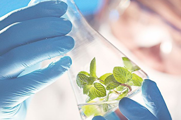 Биоотын алудың тың тәсілі