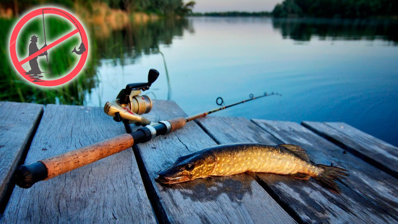 Балық аулау – бақылауда