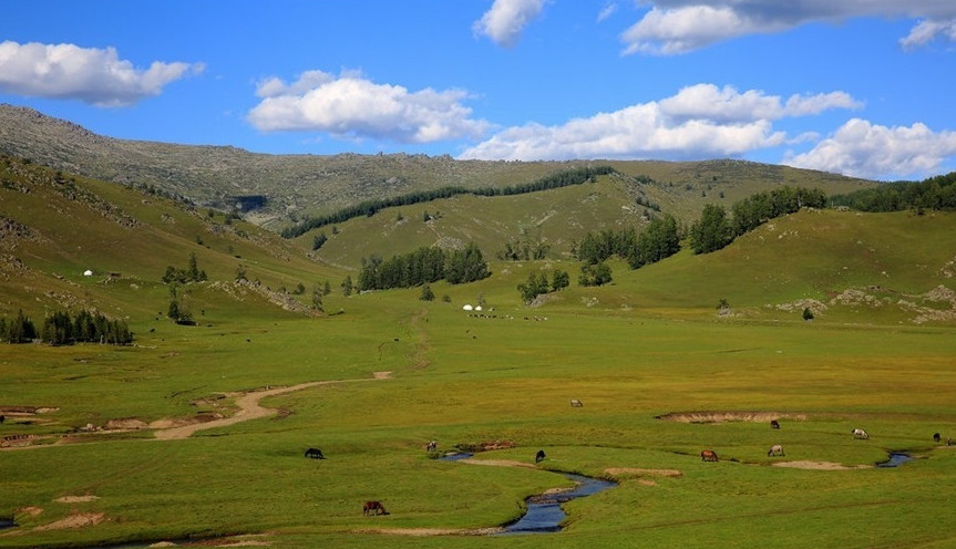 Өзекті мәселелер шешілді