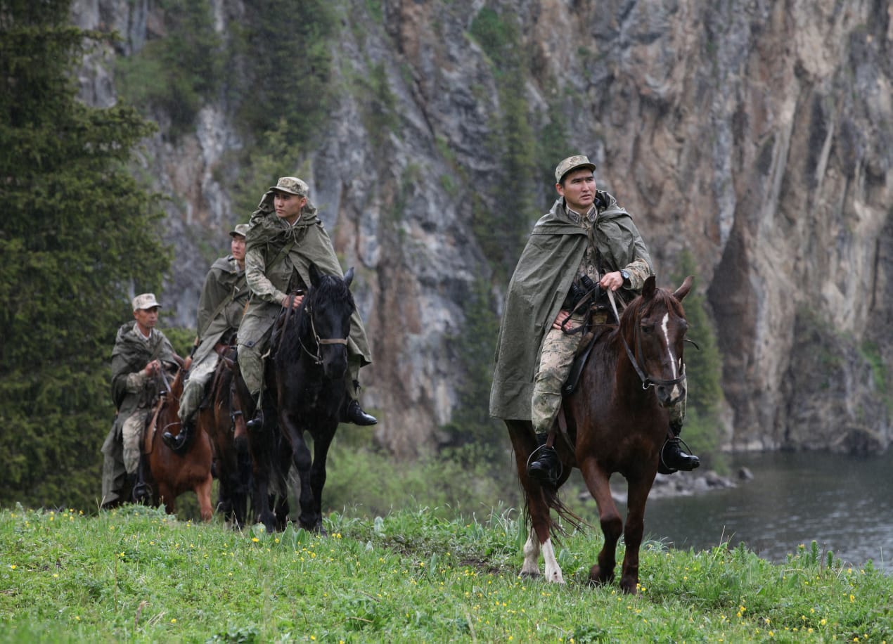 Алматыда қызыл кітапқа енген өсімдікті жұлғандар ұсталды