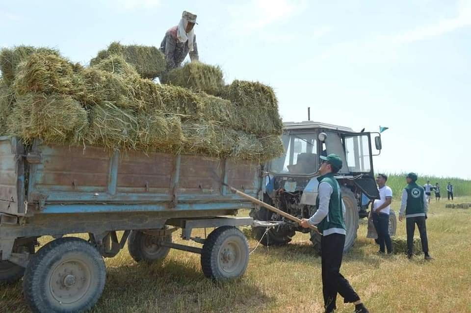 Қуаңшылыққа қарсы қарекет