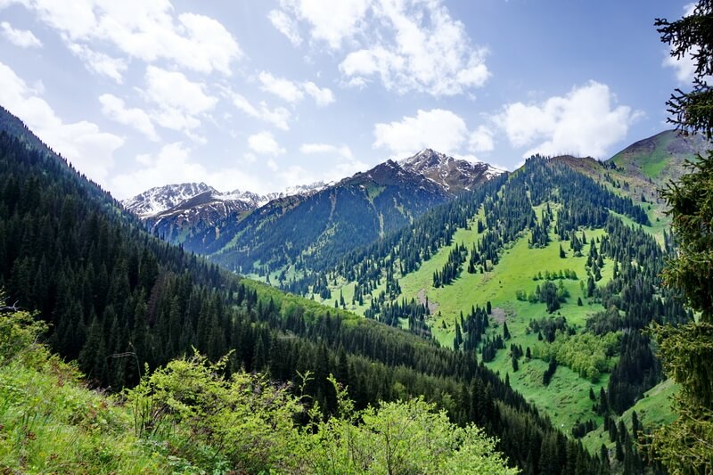 Алматы тауларында Wi-Fi-ы бар құтқару пункттері пайда болады