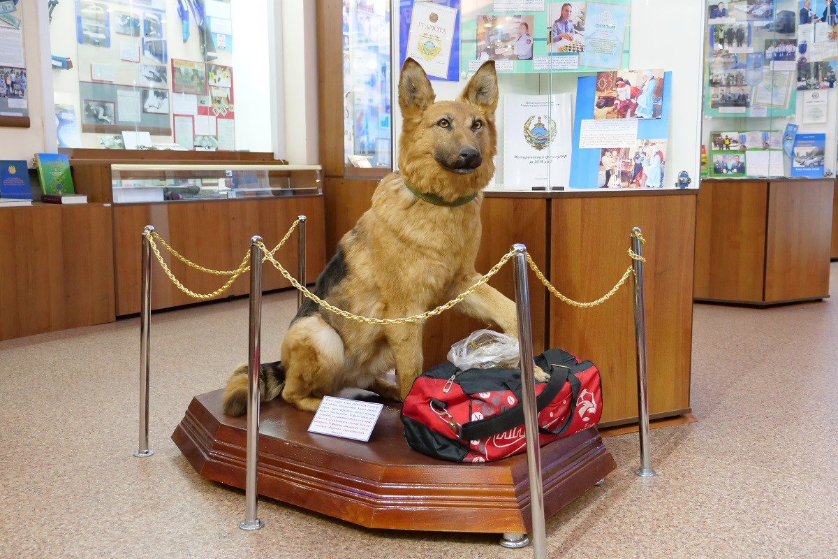 Полиция тарихының музейі