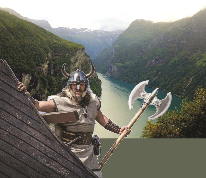 Викингтер неге шежірешіл?