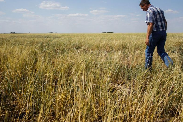 Қуаңшылықтың аяғы молшылыққа ұласар