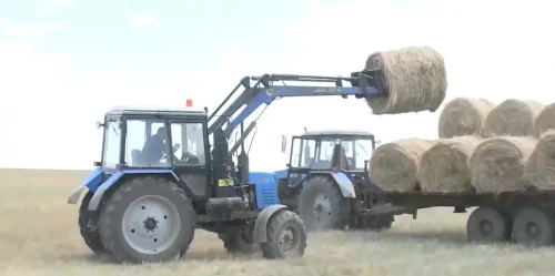 Жұрт болып жұмылсақ, жұт қашады