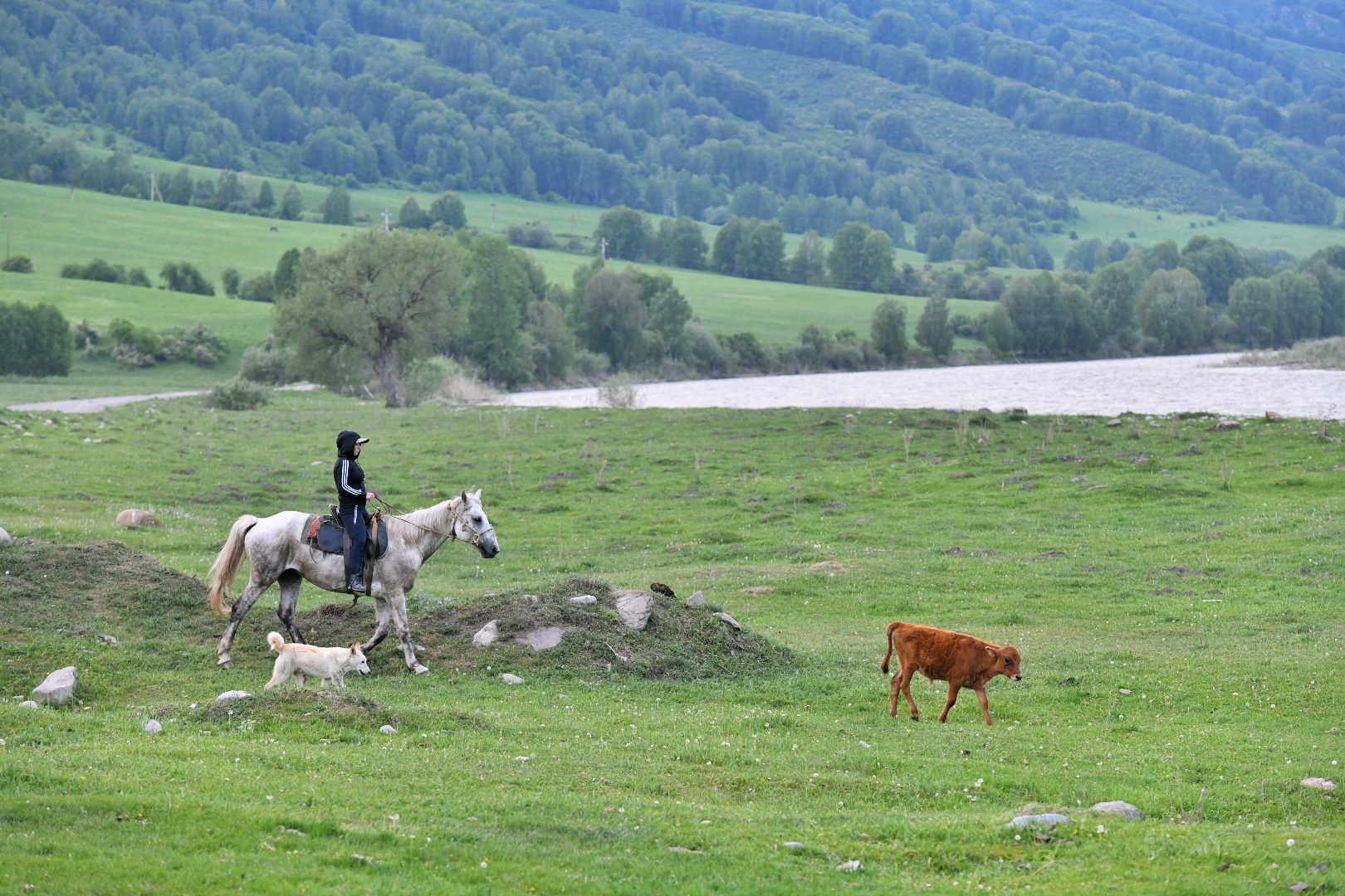 Қағаз жүзінде көп, іс жүзінде жоқ