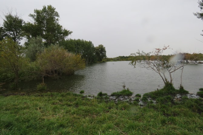 Ақтөбеде бір күнде үш адам суға кетті