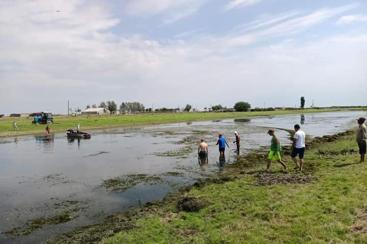 Атырау облысында балық қырылды