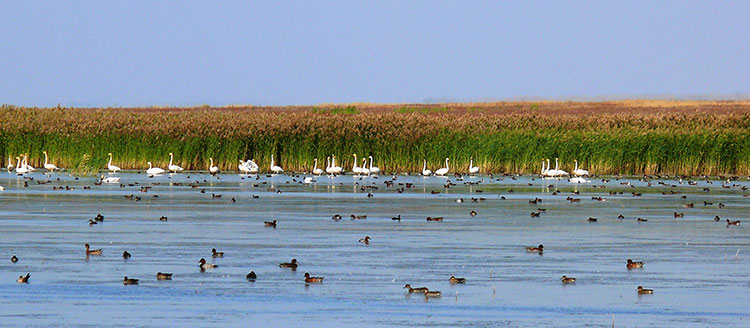 Қорықты велосипедпен аралайды