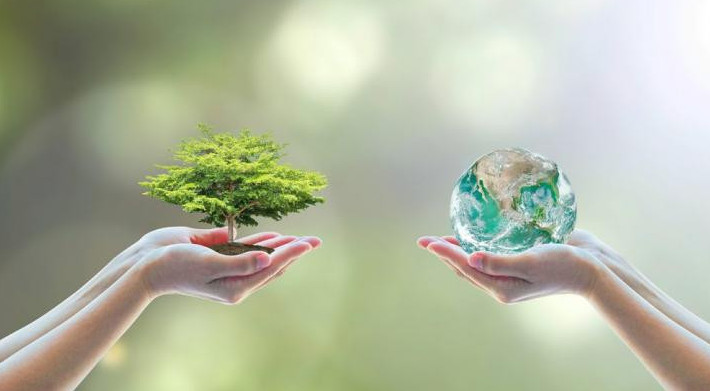 Экологиялық сауаттылықты қосымша білім арттырады