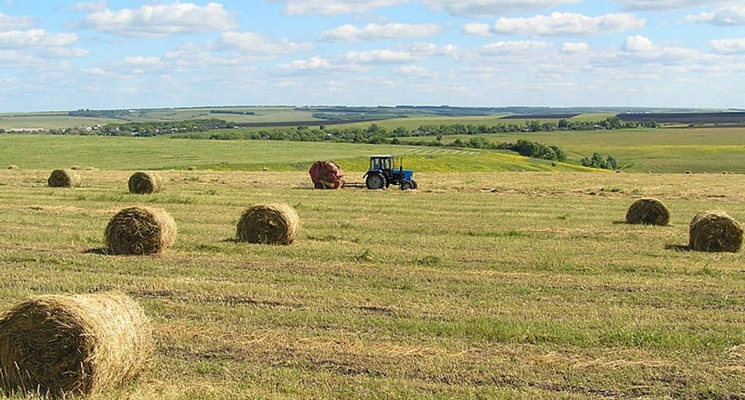 Қуаңшылықтан қиналғандар қамқорлықсыз қалмайды