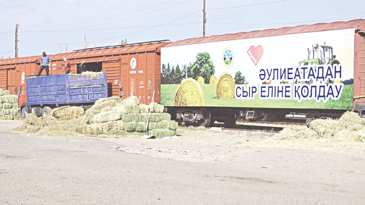 Ауыл тұрғындары көтерген бастама