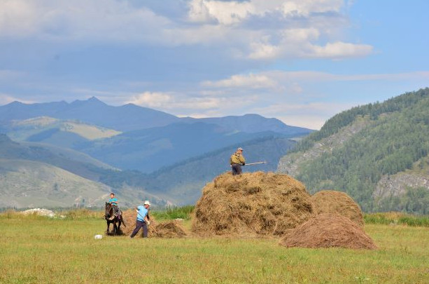 Шығыста шөп сұйық