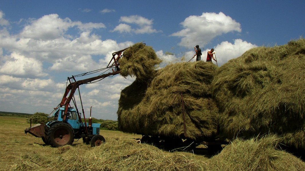 Атыраулықтар Маңғыстауға 30 тонна шөп жіберді