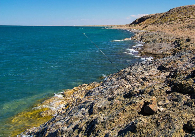 Балқаш суы қалпына келетін күн жақын ба?