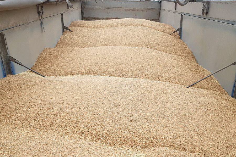 Экспорттауға тыйым салынған тауарлар тізімі жарияланды