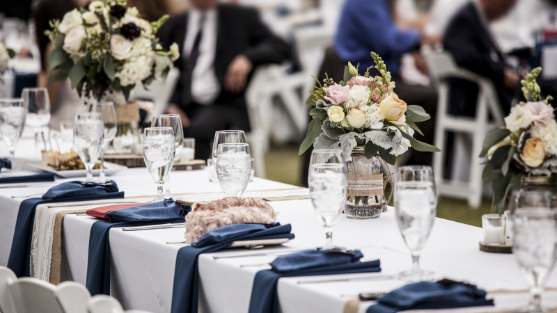 СҚО-да мониторинг топтары бір аптада 28 тойды тоқтатты