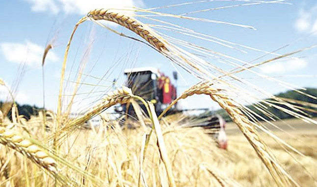 Несие мерзімі шегеріледі