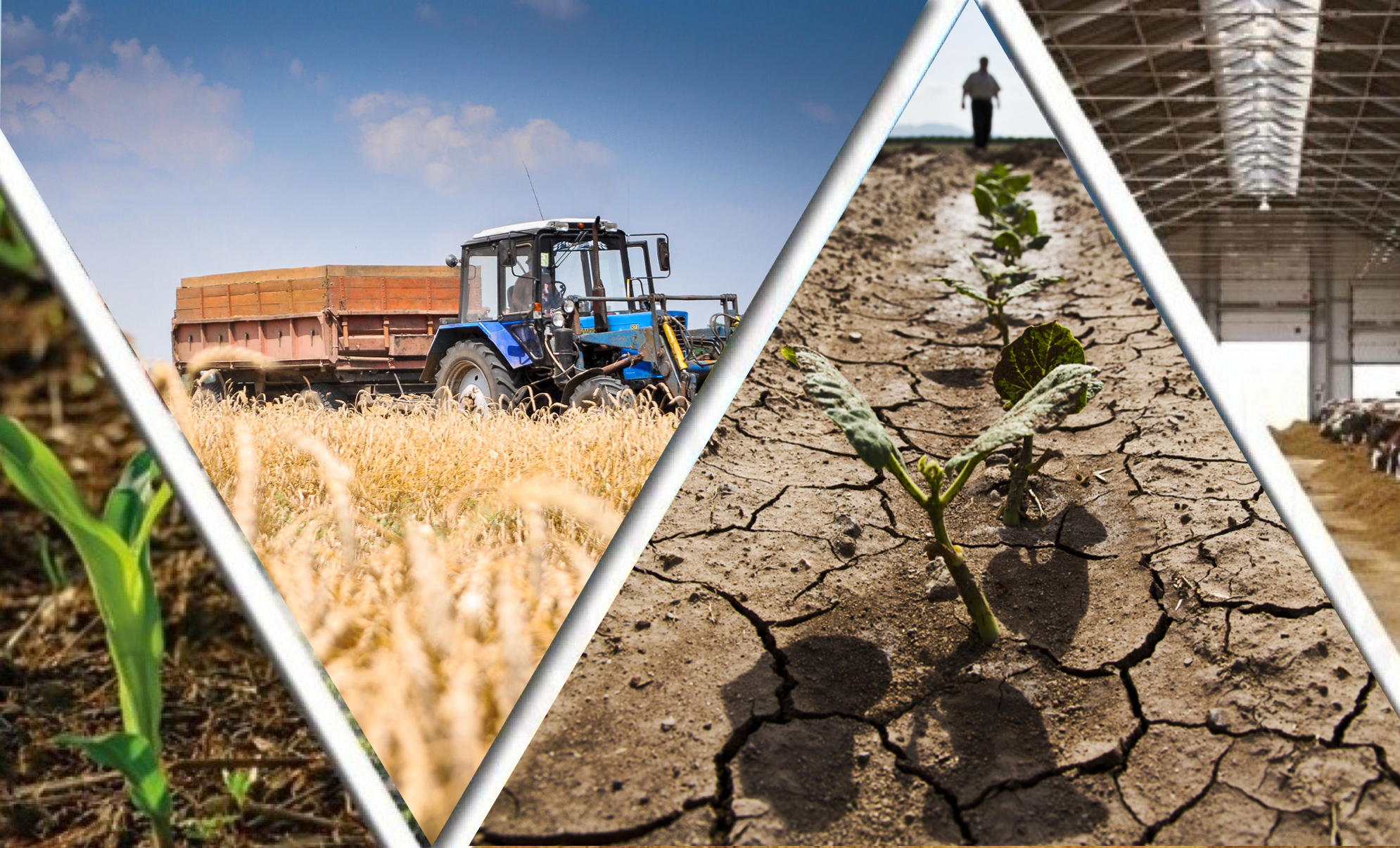 Аграрлық салада  ауқымды мәселе көп