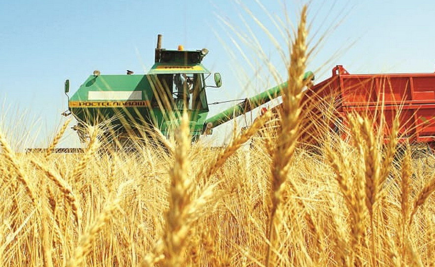 Астықты өлкедегі ахуал