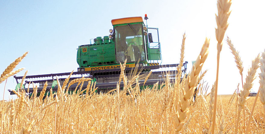 Астық сапасы жақсы